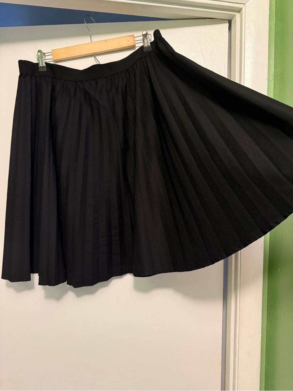Forever 21 Black Pleated Circle Skirt